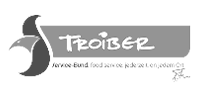 Partnerlogo_Troiber_934-bar.png